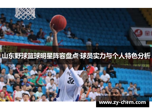山东野球篮球明星阵容盘点 球员实力与个人特色分析